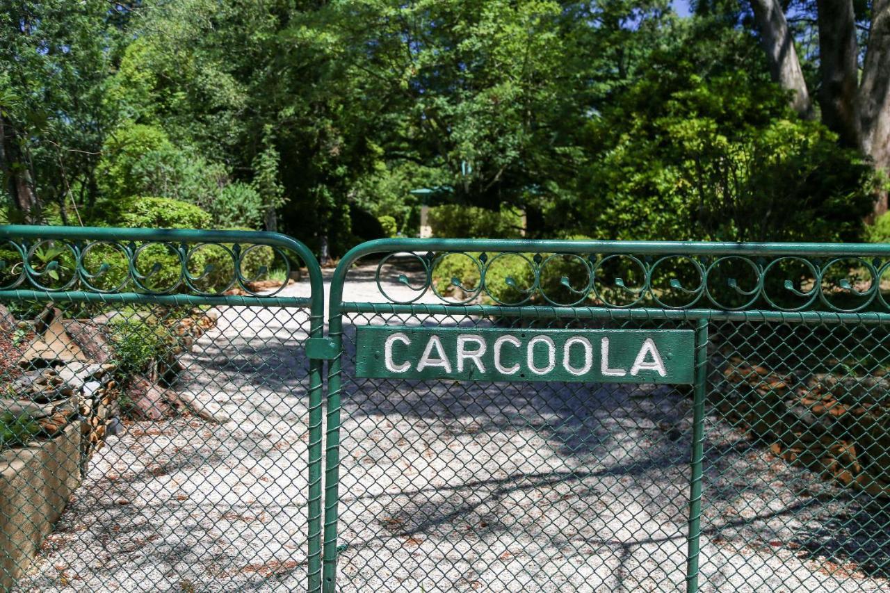 Carcoola Villa Blackheath Eksteriør bilde